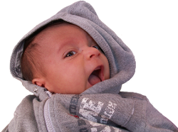 Alessio